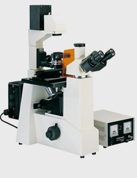 WMF-3630荧光倒置显微镜