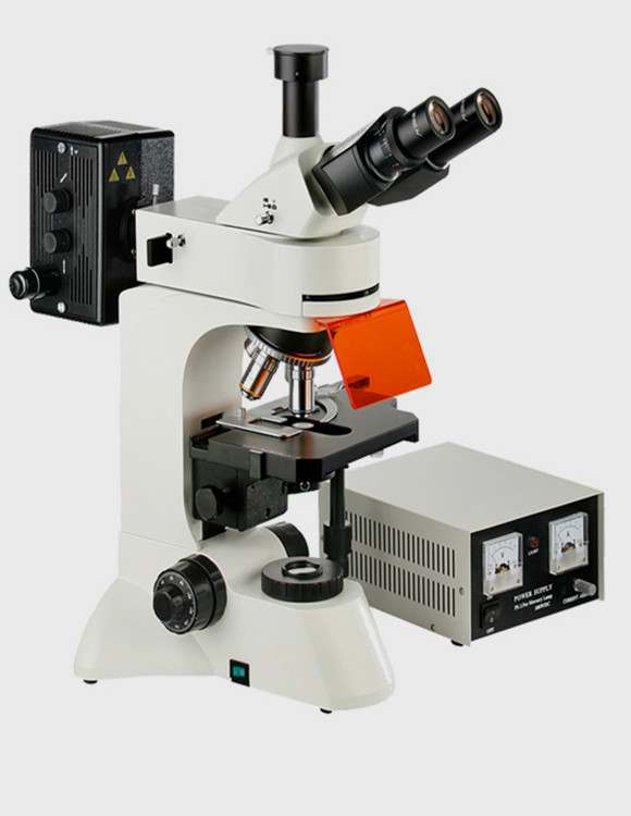 WMF-3530高品质透反射荧光显微镜