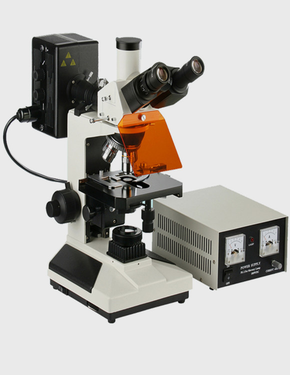 WMF-3201透反射荧光显微镜