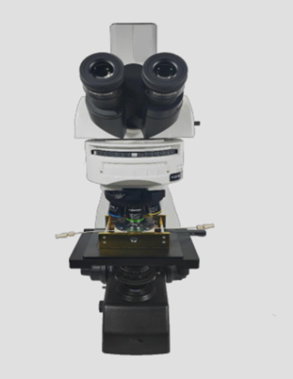 WM710R枝晶显微镜